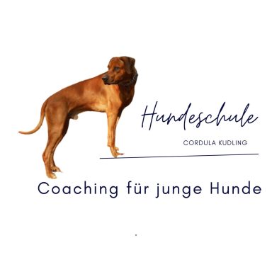 Cordula Kudling Coaching für junge Hunde