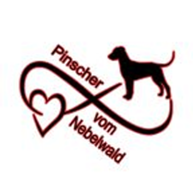Diana Messer Hundetrainerin